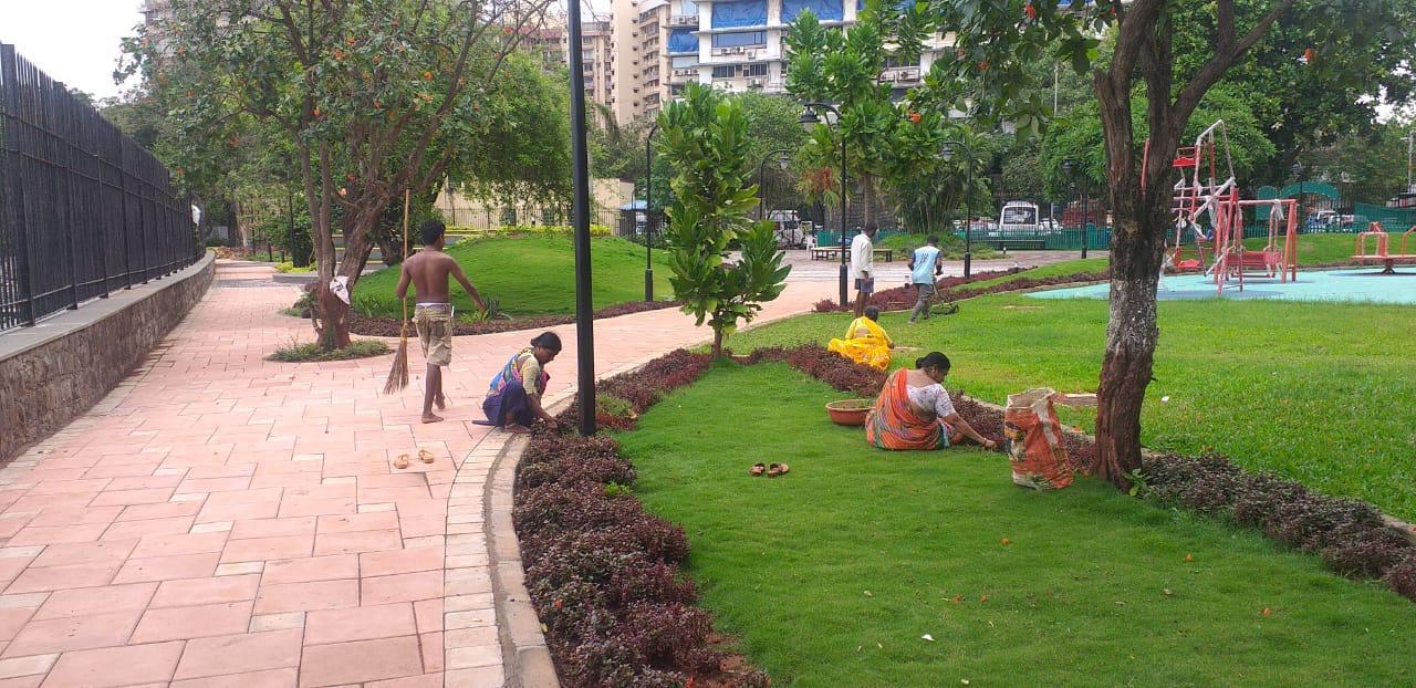 Gardening Maintenance